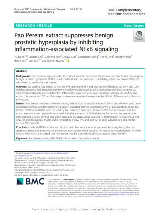 Pao Pereira extract suppresses benign prostatic hyperplasia by inhibiting inflammation-associated NFκB signaling