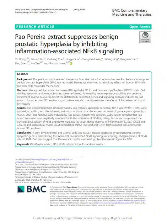 Pao Pereira extract suppresses benign prostatic hyperplasia by inhibiting inflammation-associated NFκB signaling